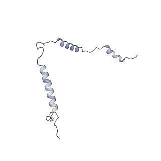 12568_7nsi_Bt_v1-1
55S mammalian mitochondrial ribosome with mtRRF (pre) and tRNA(P/E)