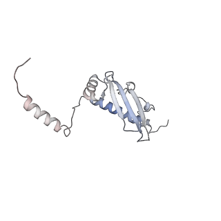 12568_7nsi_Bu_v1-1
55S mammalian mitochondrial ribosome with mtRRF (pre) and tRNA(P/E)