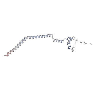 12568_7nsi_Bv_v1-1
55S mammalian mitochondrial ribosome with mtRRF (pre) and tRNA(P/E)