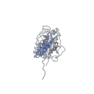 12568_7nsi_Bw_v1-1
55S mammalian mitochondrial ribosome with mtRRF (pre) and tRNA(P/E)