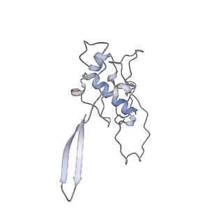12568_7nsi_Bx_v1-1
55S mammalian mitochondrial ribosome with mtRRF (pre) and tRNA(P/E)