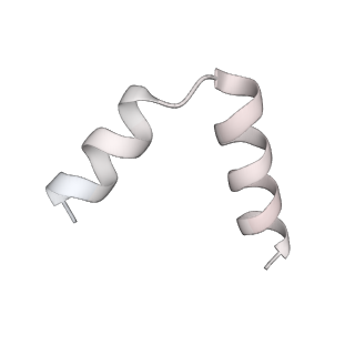12568_7nsi_HL_v1-1
55S mammalian mitochondrial ribosome with mtRRF (pre) and tRNA(P/E)