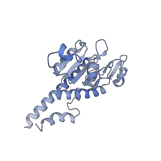 12569_7nsj_AB_v1-1
55S mammalian mitochondrial ribosome with tRNA(P/P) and tRNA(E*)