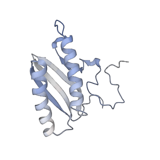12569_7nsj_AC_v1-1
55S mammalian mitochondrial ribosome with tRNA(P/P) and tRNA(E*)