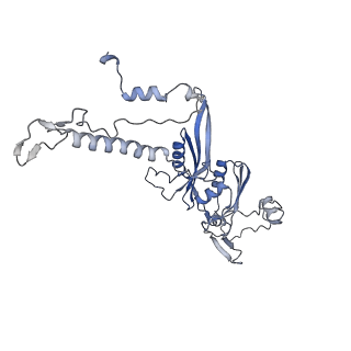 12569_7nsj_AE_v1-1
55S mammalian mitochondrial ribosome with tRNA(P/P) and tRNA(E*)