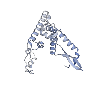 12569_7nsj_AG_v1-1
55S mammalian mitochondrial ribosome with tRNA(P/P) and tRNA(E*)