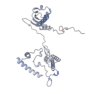 12569_7nsj_AI_v1-1
55S mammalian mitochondrial ribosome with tRNA(P/P) and tRNA(E*)