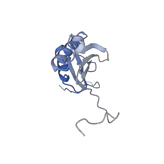 12569_7nsj_AK_v1-1
55S mammalian mitochondrial ribosome with tRNA(P/P) and tRNA(E*)