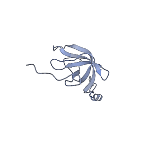 12569_7nsj_AL_v1-1
55S mammalian mitochondrial ribosome with tRNA(P/P) and tRNA(E*)