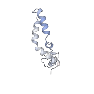12569_7nsj_AN_v1-1
55S mammalian mitochondrial ribosome with tRNA(P/P) and tRNA(E*)