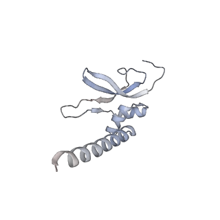 12569_7nsj_AP_v1-1
55S mammalian mitochondrial ribosome with tRNA(P/P) and tRNA(E*)