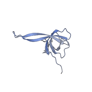 12569_7nsj_AQ_v1-1
55S mammalian mitochondrial ribosome with tRNA(P/P) and tRNA(E*)