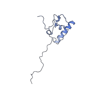 12569_7nsj_AR_v1-1
55S mammalian mitochondrial ribosome with tRNA(P/P) and tRNA(E*)