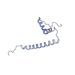 12569_7nsj_AU_v1-1
55S mammalian mitochondrial ribosome with tRNA(P/P) and tRNA(E*)