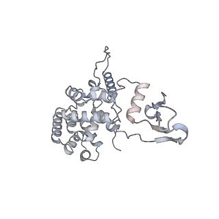 12569_7nsj_Aa_v1-1
55S mammalian mitochondrial ribosome with tRNA(P/P) and tRNA(E*)