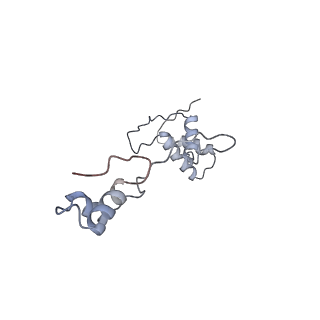 12569_7nsj_Ab_v1-1
55S mammalian mitochondrial ribosome with tRNA(P/P) and tRNA(E*)