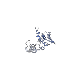 12569_7nsj_Ac_v1-1
55S mammalian mitochondrial ribosome with tRNA(P/P) and tRNA(E*)