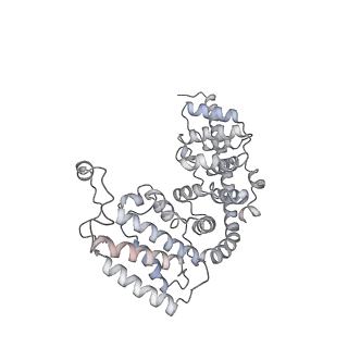 12569_7nsj_Ae_v1-1
55S mammalian mitochondrial ribosome with tRNA(P/P) and tRNA(E*)