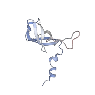 12569_7nsj_Af_v1-1
55S mammalian mitochondrial ribosome with tRNA(P/P) and tRNA(E*)