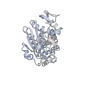 12569_7nsj_Ag_v1-1
55S mammalian mitochondrial ribosome with tRNA(P/P) and tRNA(E*)