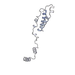 12569_7nsj_Ah_v1-1
55S mammalian mitochondrial ribosome with tRNA(P/P) and tRNA(E*)