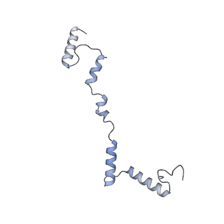 12569_7nsj_Ai_v1-1
55S mammalian mitochondrial ribosome with tRNA(P/P) and tRNA(E*)