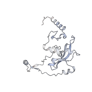 12569_7nsj_Aj_v1-1
55S mammalian mitochondrial ribosome with tRNA(P/P) and tRNA(E*)