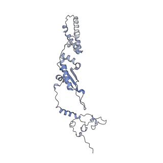 12569_7nsj_Ak_v1-1
55S mammalian mitochondrial ribosome with tRNA(P/P) and tRNA(E*)