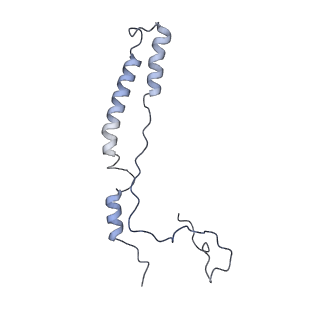 12569_7nsj_Am_v1-1
55S mammalian mitochondrial ribosome with tRNA(P/P) and tRNA(E*)