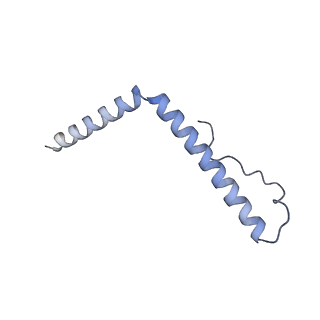 12569_7nsj_An_v1-1
55S mammalian mitochondrial ribosome with tRNA(P/P) and tRNA(E*)