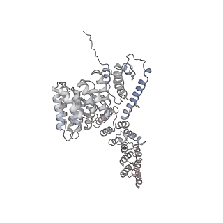 12569_7nsj_Ao_v1-1
55S mammalian mitochondrial ribosome with tRNA(P/P) and tRNA(E*)