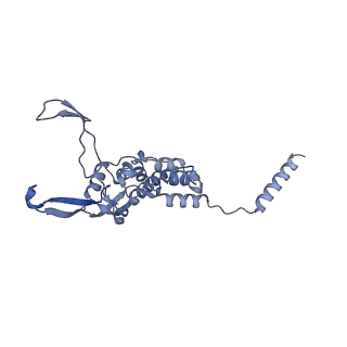 12569_7nsj_B1_v1-1
55S mammalian mitochondrial ribosome with tRNA(P/P) and tRNA(E*)