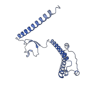 12569_7nsj_B2_v1-1
55S mammalian mitochondrial ribosome with tRNA(P/P) and tRNA(E*)