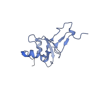 12569_7nsj_B3_v1-1
55S mammalian mitochondrial ribosome with tRNA(P/P) and tRNA(E*)