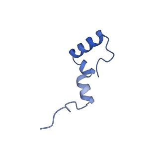 12569_7nsj_B7_v1-1
55S mammalian mitochondrial ribosome with tRNA(P/P) and tRNA(E*)