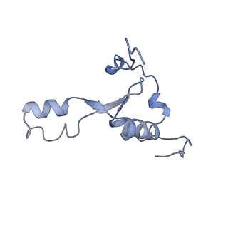 12569_7nsj_B8_v1-1
55S mammalian mitochondrial ribosome with tRNA(P/P) and tRNA(E*)
