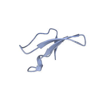 12569_7nsj_B9_v1-1
55S mammalian mitochondrial ribosome with tRNA(P/P) and tRNA(E*)