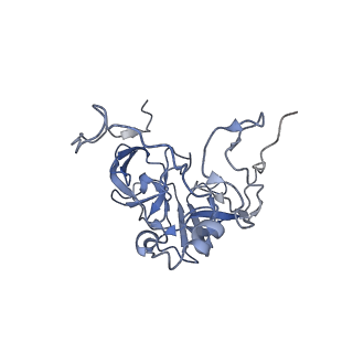 12569_7nsj_BD_v1-1
55S mammalian mitochondrial ribosome with tRNA(P/P) and tRNA(E*)