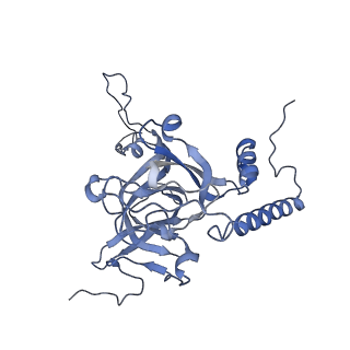 12569_7nsj_BE_v1-1
55S mammalian mitochondrial ribosome with tRNA(P/P) and tRNA(E*)