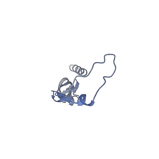 12569_7nsj_BI_v1-1
55S mammalian mitochondrial ribosome with tRNA(P/P) and tRNA(E*)