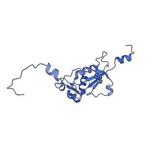 12569_7nsj_BN_v1-1
55S mammalian mitochondrial ribosome with tRNA(P/P) and tRNA(E*)