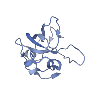 12569_7nsj_BO_v1-1
55S mammalian mitochondrial ribosome with tRNA(P/P) and tRNA(E*)