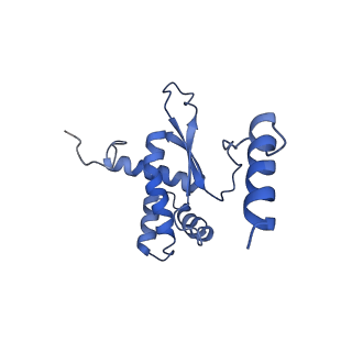 12569_7nsj_BR_v1-1
55S mammalian mitochondrial ribosome with tRNA(P/P) and tRNA(E*)
