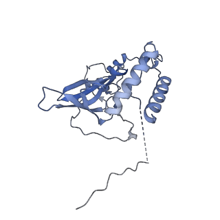 12569_7nsj_BT_v1-1
55S mammalian mitochondrial ribosome with tRNA(P/P) and tRNA(E*)