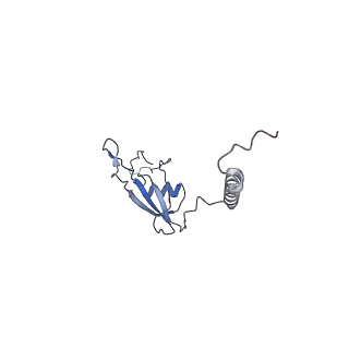 12569_7nsj_BX_v1-1
55S mammalian mitochondrial ribosome with tRNA(P/P) and tRNA(E*)