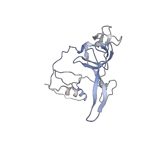12569_7nsj_BY_v1-1
55S mammalian mitochondrial ribosome with tRNA(P/P) and tRNA(E*)