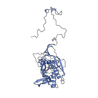 12569_7nsj_Ba_v1-1
55S mammalian mitochondrial ribosome with tRNA(P/P) and tRNA(E*)