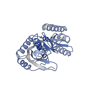 12569_7nsj_Bc_v1-1
55S mammalian mitochondrial ribosome with tRNA(P/P) and tRNA(E*)