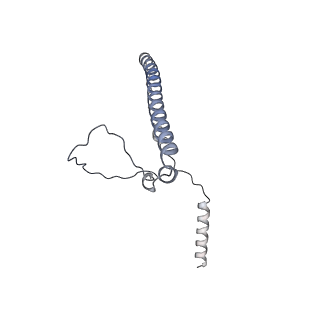 12569_7nsj_Bd_v1-1
55S mammalian mitochondrial ribosome with tRNA(P/P) and tRNA(E*)