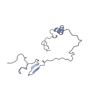 12569_7nsj_Be_v1-1
55S mammalian mitochondrial ribosome with tRNA(P/P) and tRNA(E*)